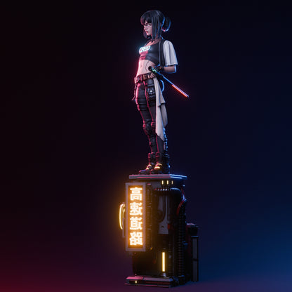 Cyber Samurai