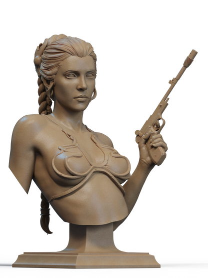Slave Princess Bust