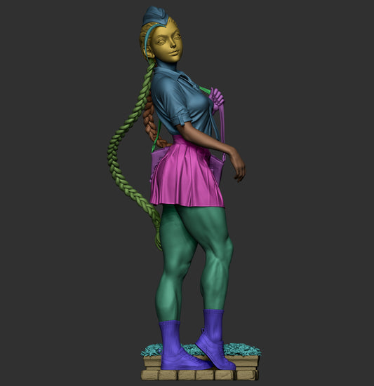 Highschool Cammy
