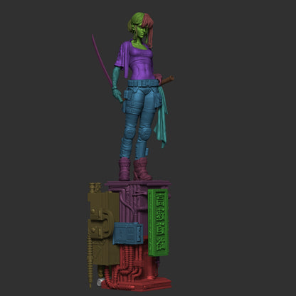 Cyber Samurai